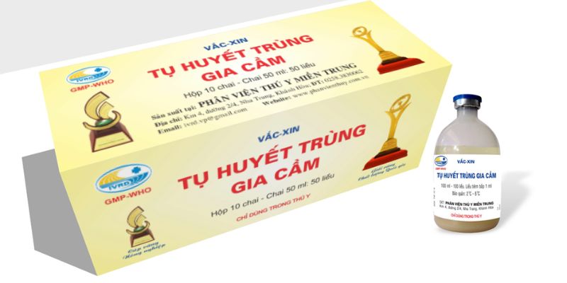 Vacxin phòng bệnh tụ huyết trùng